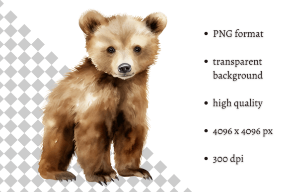 Download Watercolor Woodland Baby Bear Clipart - Bear clipart Collection